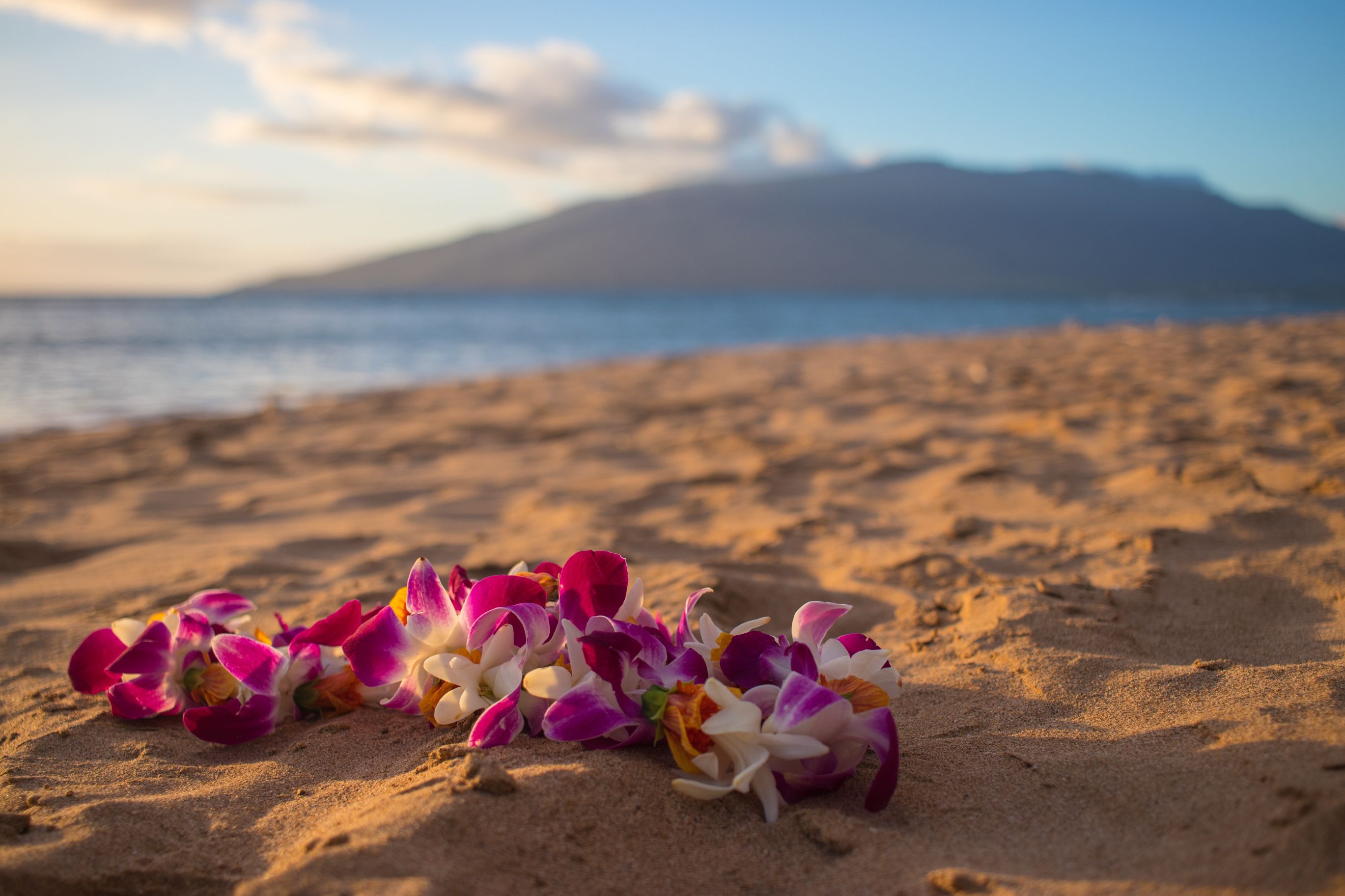 Lei On Beach Shutterstock 1022542387